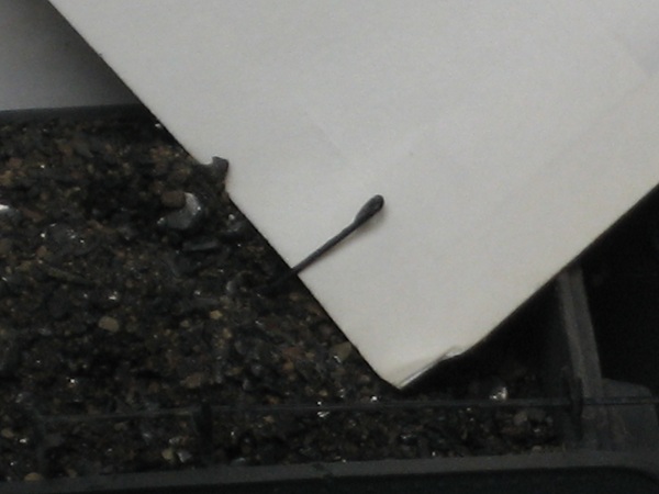 Filename: 004.JPG
Size: 64.94 KB
Today, 10:05 AM