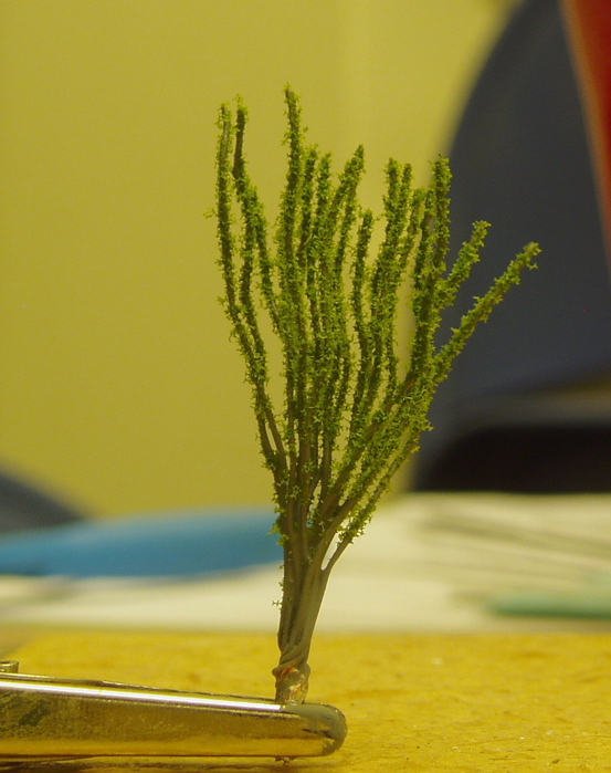 Filename: ocotillo5.jpg
Size: 151.3 KB
Today, 08:04 AM