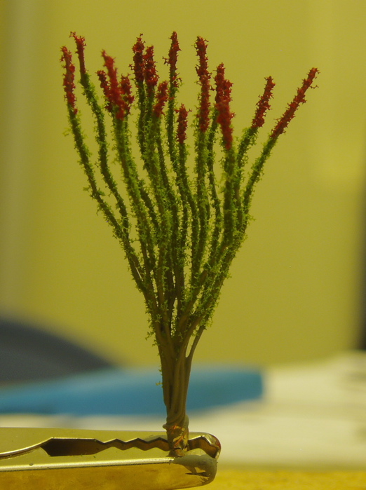 Filename: ocotillo6.jpg
Size: 145.01 KB
Today, 08:04 AM